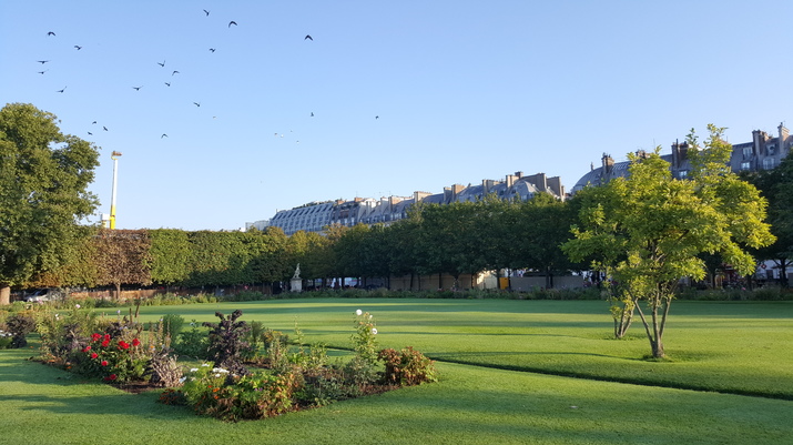 paris-tuileries.jpg