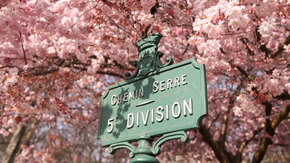 promenade-cimetiere-pere-la-chaise.jpg