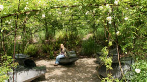El jardín del Quai Branly