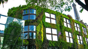 El Muro Vegetal del Quai Branly