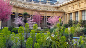 The Petit Palais garden