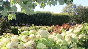 El jardín del Museo Rodin