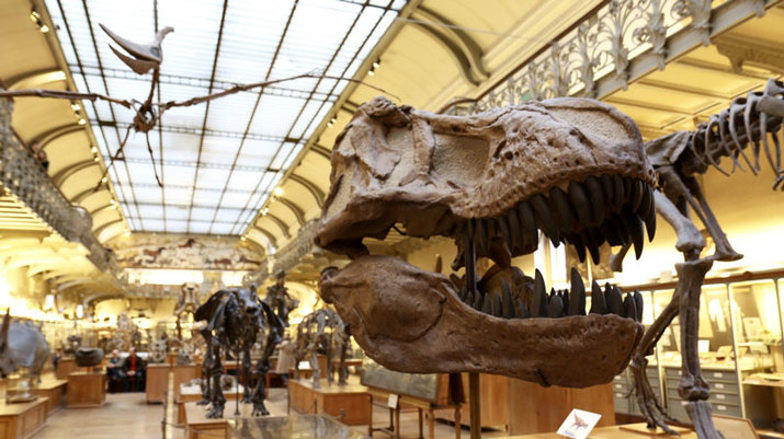 Museo Nacional de Historia Natural