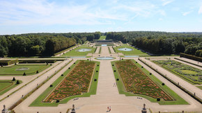 The garden