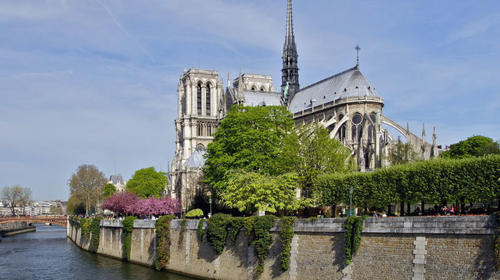 Catedral de Notre-Dame